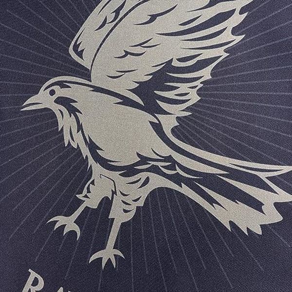 Bomullskudde 50x50cm modell Ravenclaw Sparkle A - BL BELUM - Blå