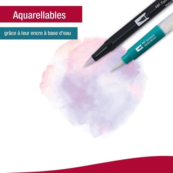 Tombow Markers - ABT-6C-5