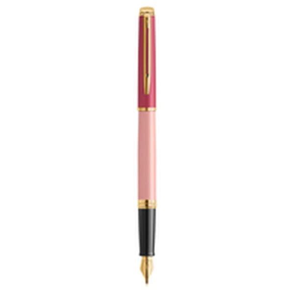 Kalligrafipenna Waterman 8129899 Blå Rosa