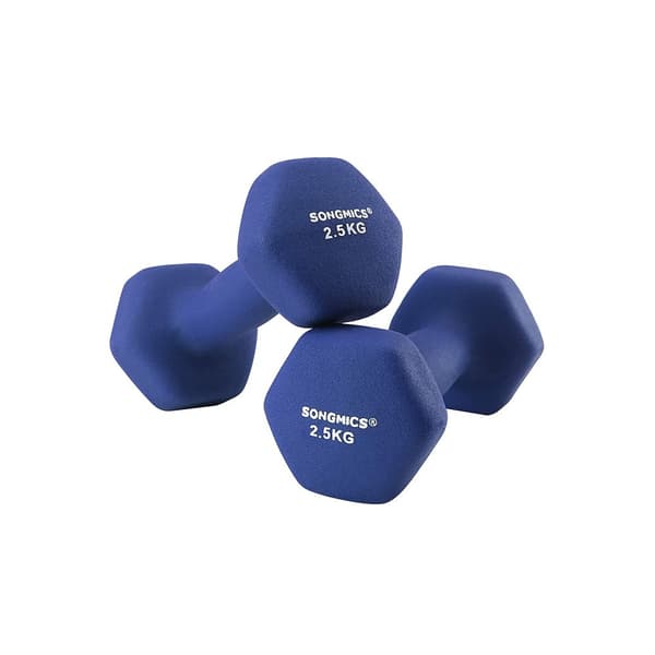 Set med 2 hantlar, 2 x 2,5 halkfria handvikter i neopren med matt yta, hemmaträning, fitness, blå