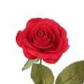 Miniatyrbild 4 av 4: Beauty and the Beast Förtrollad rosa elegant glaskupol med LED-lampor - brun bas