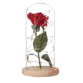 Miniatyrbild 3 av 4: Beauty and the Beast Enchanted Rose Elegant glaskupol med LED-lampor - Beige bas