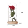 Miniatyrbild 4 av 4: Beauty and the Beast Enchanted Rose Elegant glaskupol med LED-lampor - Beige bas