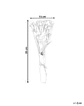 Miniatyrbilde 3 av 5: Tørket Blomsterbukett Rosa Naturlige Tørkede Blomster 50 cm Borddekorasjon