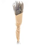 Miniatyrbilde 4 av 5: Tørket Blomsterbukett Fiolett Grønn Naturlige Tørkede Blomster 70 cm Borddekorasjon