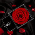 Miniatyrbild 3 av 6: Eternal Rose med, Kvinnors Halsband Box of Roses, Hjärthänge, Present till henne till jul, alla hjärtans dag, mors dag