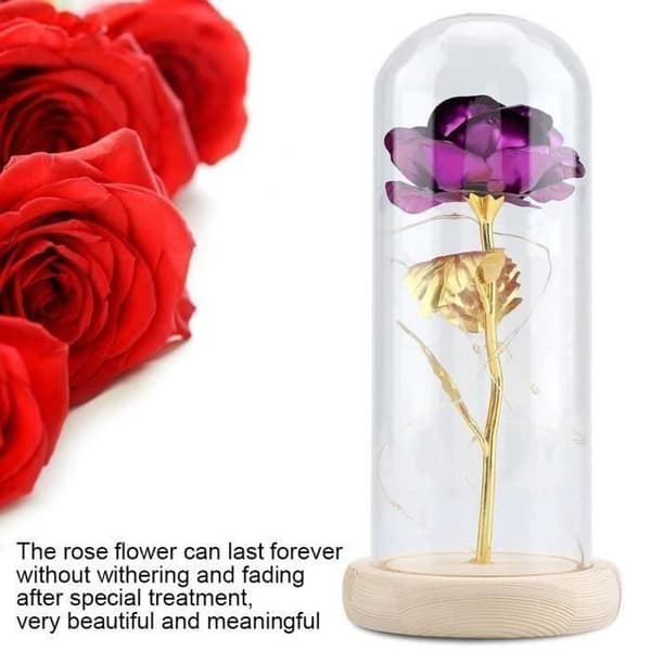 Eternal Rose LED-rosblad "Beauty and the Beast" LED-ljus med fallen i glaskupol på en träbas (lila H0103D