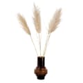 Miniatyrbillede 1 af 3: Tørrede blomster - Sæt med 5 - Dryflower 'Cortaderia Plum' - Tørre blomster