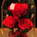 Miniatyrbild 3 av 4: INN® Torkade rosor Glasskydd Presentask Praktisk Festival Alla hjärtans dag present Eviga blommor Färdiga produkter