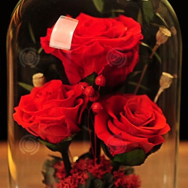 INN® Torkade rosor Glasskydd Presentask Praktisk Festival Alla hjärtans dag present Eviga blommor Färdiga produkter
