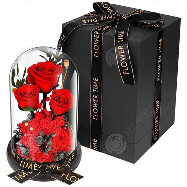 INN® Torkade rosor Glasskydd Presentask Praktisk Festival Alla hjärtans dag present Eviga blommor Färdiga produkter