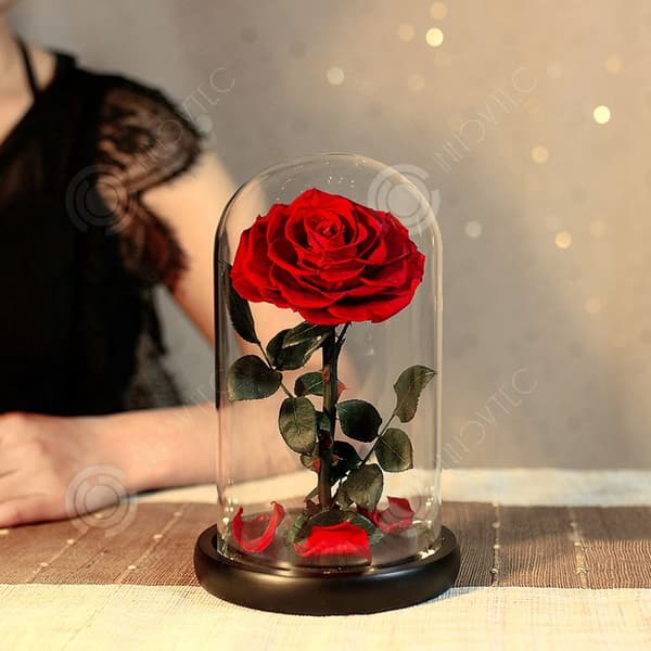 INN® The Little Prince rose evig blomma glaslock Alla hjärtans dag present kreativt arrangemang färdig evig blomma