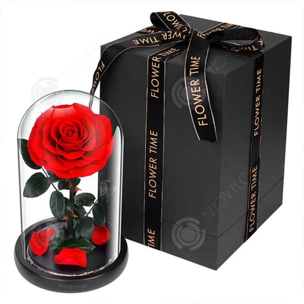 INN® The Little Prince rose evig blomma glaslock Alla hjärtans dag present kreativt arrangemang färdig evig blomma