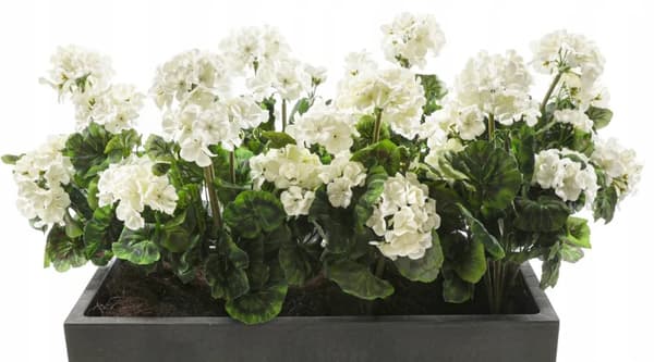 Konstgjord vit pelargonbukett Balkongterrass