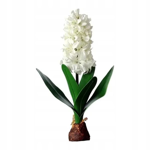 KONSTGIVNA HYACINT MED LÖV OCH LÖK 31 cm naturtrogen