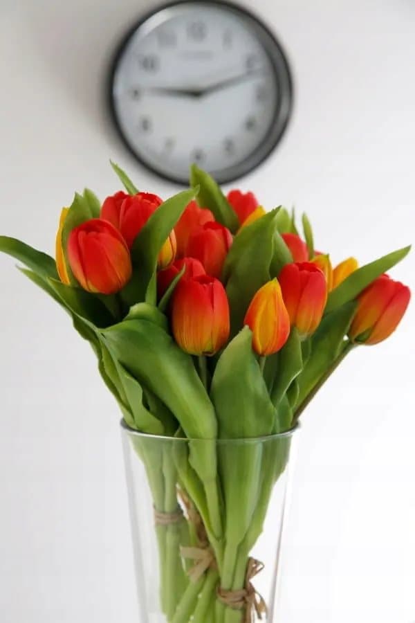 Silikonegummi tulipaner 40 cm 5 stk rød-orange som om de er i live