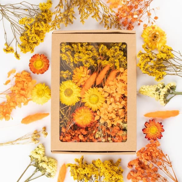 Lille tørret blomsterdekoration med papkasse – tørrede blomster til håndarbejde, harpikshåndværk, lykønskningskort og scrapbog