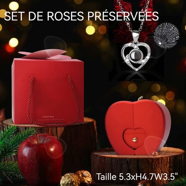 C Rosa presentask Damhalsband Jag älskar dig på 100 språk Projektionshalsband Eternal Flower Apple Box Julklapp