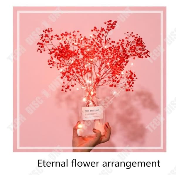TD® Naturliga torkade blommor bukett konstgjorda blommor bröllop brud röd deco dekoration vardagsrum inomhus utomhus fest evighet