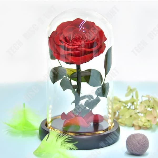 TD® Eternal Flower Glas Cover, Simulation Rose, Hemmakontorsdekoration, LED Nattljus, Holiday Present