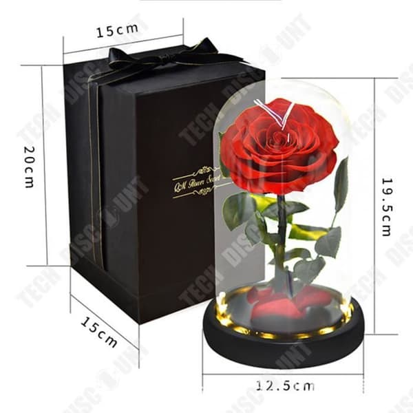 TD® Eternal Flower Glas Cover, Simulation Rose, Hemmakontorsdekoration, LED Nattljus, Holiday Present