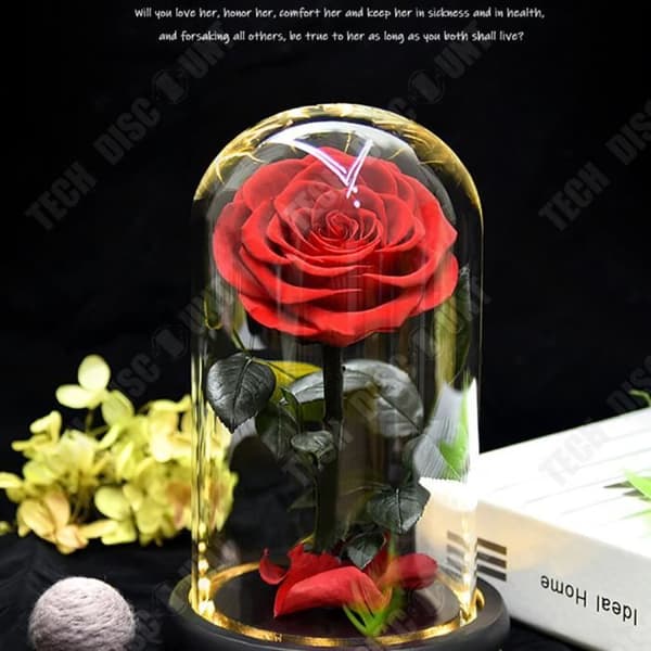 TD® Eternal Flower Glas Cover, Simulation Rose, Hemmakontorsdekoration, LED Nattljus, Holiday Present