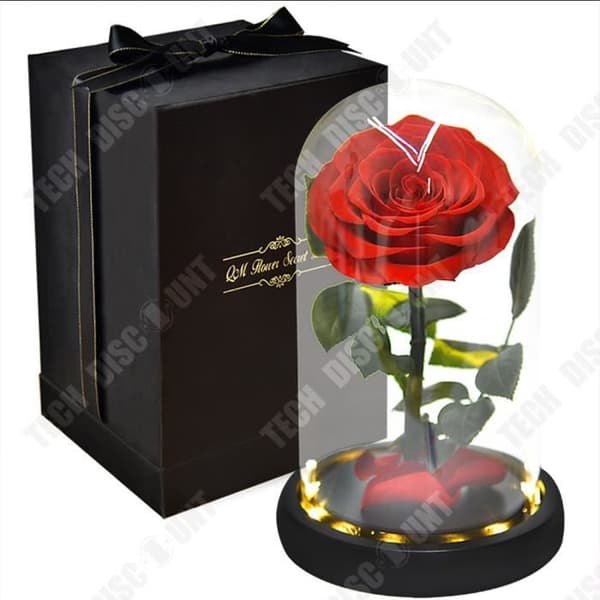 TD® Eternal Flower Glas Cover, Simulation Rose, Hemmakontorsdekoration, LED Nattljus, Holiday Present