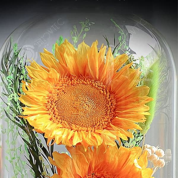 INN® Sunflower Flower Drink Cover för seniorer, lärare, födelsedagar och helgdagar