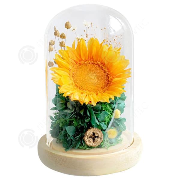 INN® solrosglasskydd, äkta odödlig blomma, färdig produkt, födelsedags- och alla hjärtans dag-presentprydnader