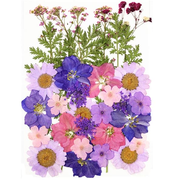 Torkade Pressade Blommor – Blomsterset för DIY Ljus, Epoxy Resin Smycken, Hängen, Scrapbooking & Dekorativa Hantverk SZ2