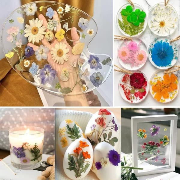 Torkade Pressade Blommor – Blomsterset för DIY Ljus, Epoxy Resin Smycken, Hängen, Scrapbooking & Dekorativa Hantverk