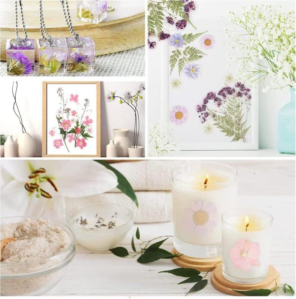 Torkade Pressade Blommor – Blomsterset för DIY Ljus, Epoxy Resin Smycken, Hängen, Scrapbooking & Dekorativa Hantverk