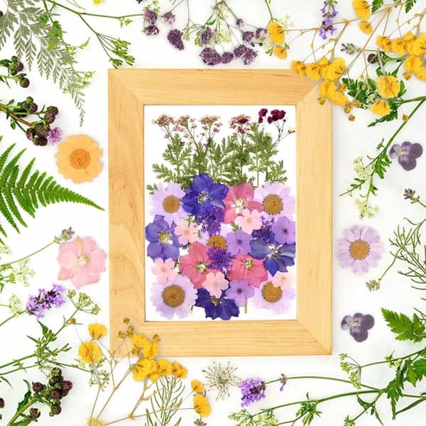 Torkade Pressade Blommor – Blomsterset för DIY Ljus, Epoxy Resin Smycken, Hängen, Scrapbooking & Dekorativa Hantverk