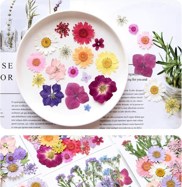 Torkade Pressade Blommor – Blomsterset för DIY Ljus, Epoxy Resin Smycken, Hängen, Scrapbooking & Dekorativa Hantverk
