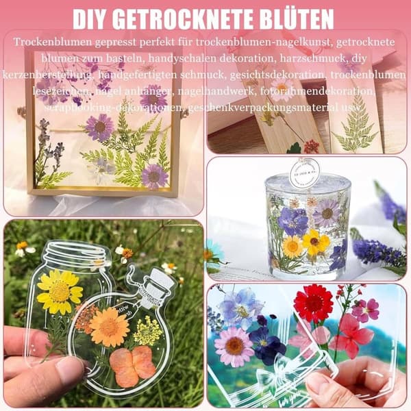 Torkade Pressade Blommor – Blomsterset för DIY Ljus, Epoxy Resin Smycken, Hängen, Scrapbooking & Dekorativa Hantverk