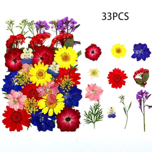 Torkade Pressade Blommor – Blomsterset för DIY Ljus, Epoxy Resin Smycken, Hängen, Scrapbooking & Dekorativa Hantverk