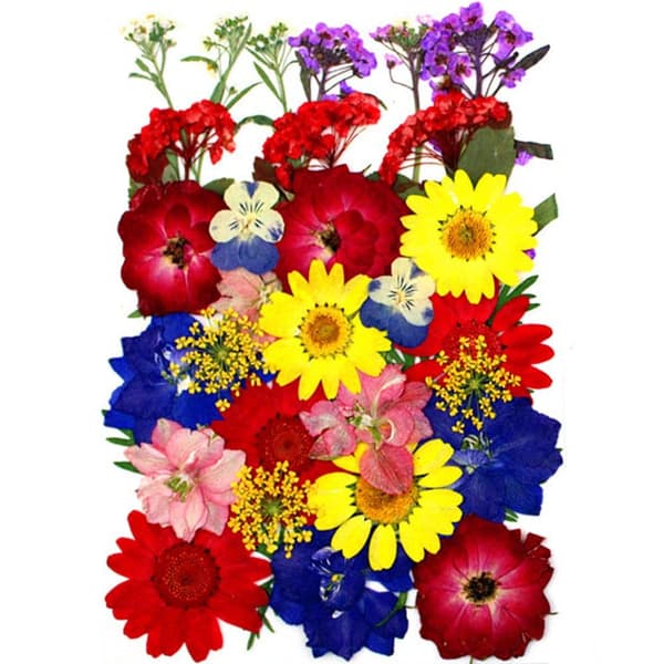 Torkade Pressade Blommor – Blomsterset för DIY Ljus, Epoxy Resin Smycken, Hängen, Scrapbooking & Dekorativa Hantverk