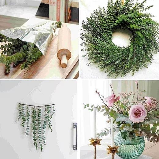 Kunstig blomsterbuket Eukalyptus tørret 43 cm - 20 stk-naturlige tørrede blomster til bryllupper og boligindretning