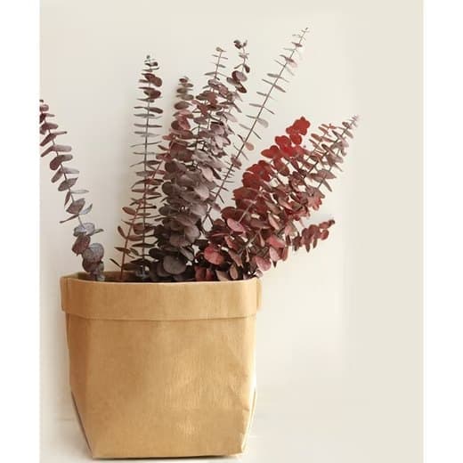 Kunstig blomsterbuket Eukalyptus tørret 43 cm - 20 stk-naturlige tørrede blomster til bryllupper og boligindretning