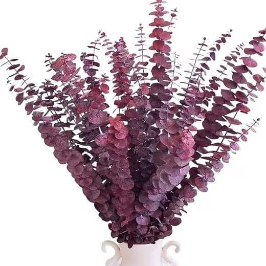 Kunstig blomsterbuket Eukalyptus tørret 43 cm - 20 stk-naturlige tørrede blomster til bryllupper og boligindretning