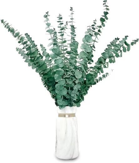 Kunstig blomsterbuket Eukalyptus tørret 43 cm - 20 stk-naturlige tørrede blomster til bryllupper og boligindretning