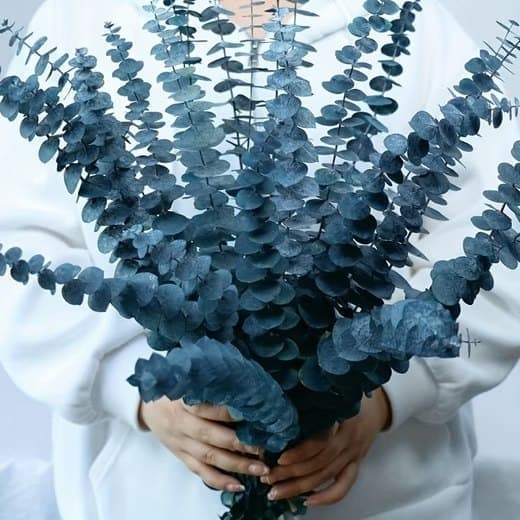 Kunstig blomsterbuket Eukalyptus tørret 43 cm - 20 stk-naturlige tørrede blomster til bryllupper og boligindretning