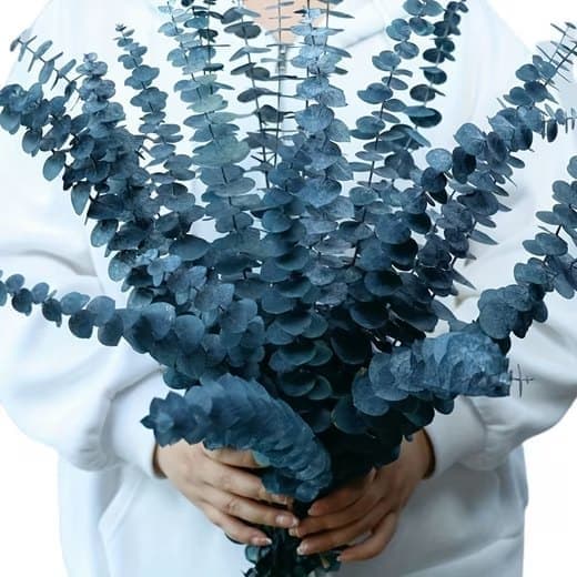 Kunstig blomsterbuket Eukalyptus tørret 43 cm - 20 stk-naturlige tørrede blomster til bryllupper og boligindretning