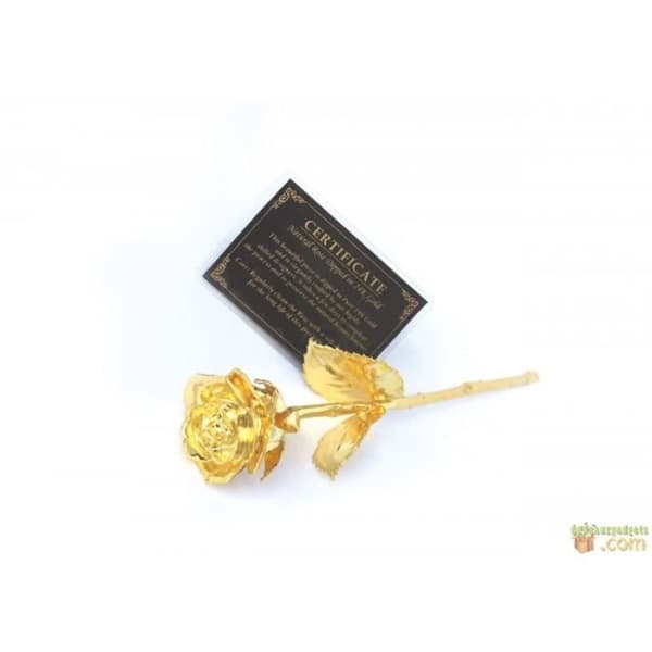 Golden Rose - Ej specificerat - 24K guldpläterad - Svart sammetslåda - Äkthetsintyg - Dekorativt