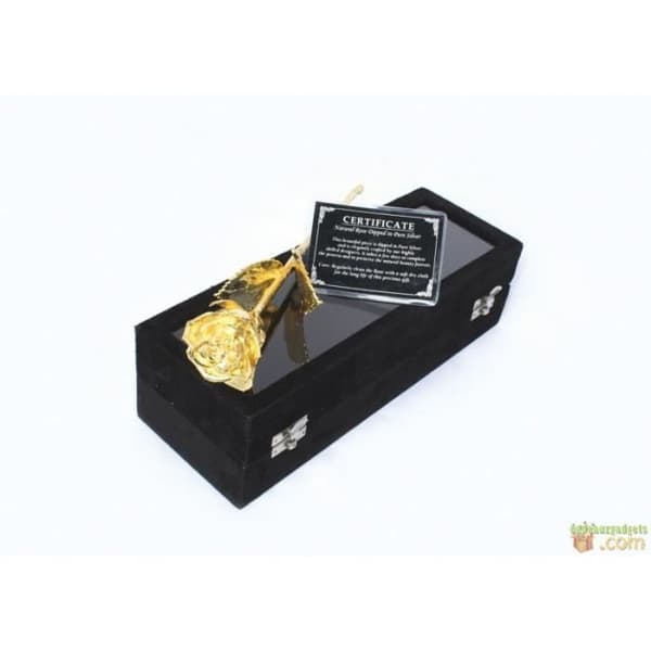 Golden Rose - Ej specificerat - 24K guldpläterad - Svart sammetslåda - Äkthetsintyg - Dekorativt