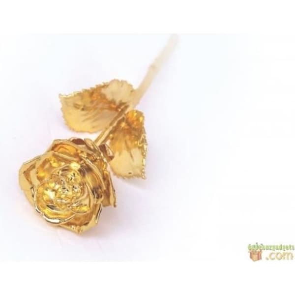 Golden Rose - Ej specificerat - 24K guldpläterad - Svart sammetslåda - Äkthetsintyg - Dekorativt