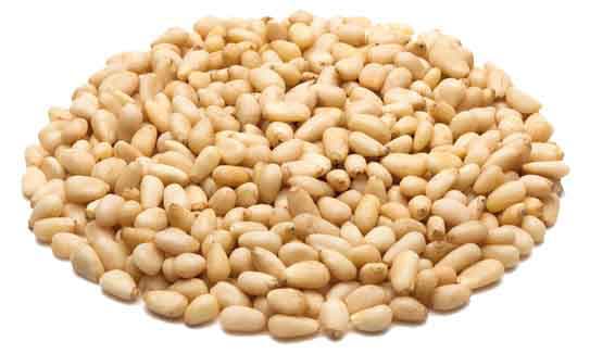 Cederträ Pinjenötter 1kg
