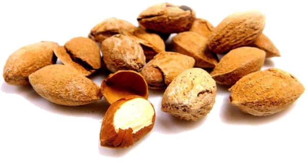 Paahdetut suolatut mantelit kuorissa 5kg