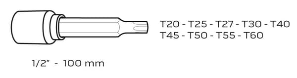 Torx bits på fatning 100 mm, sæt med 9 stk
