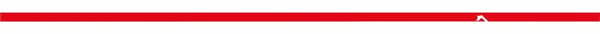 Skruvmejselbits TYP TORX-15 S2